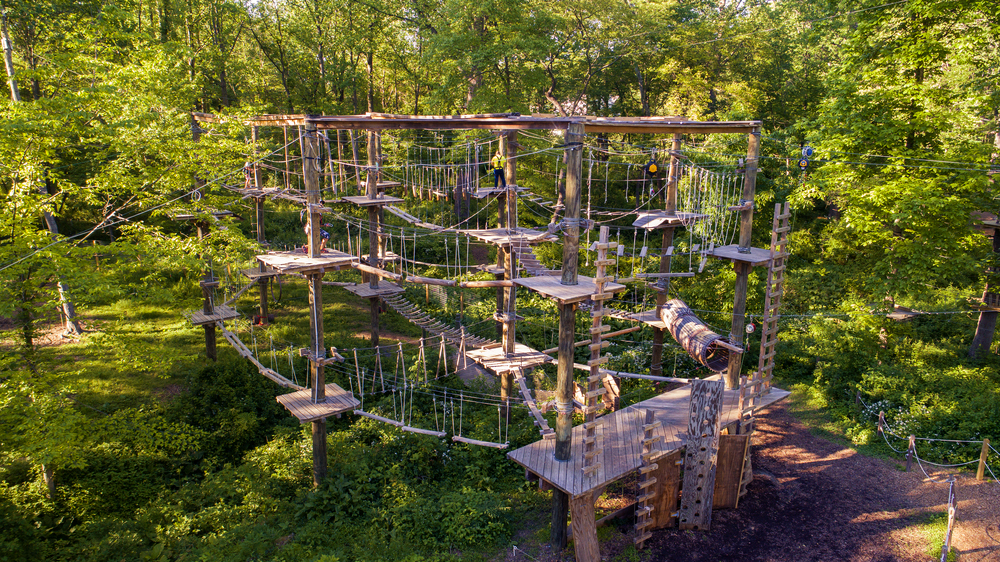 Labyrinth The Adventure Park at Sandy Spring Friends School