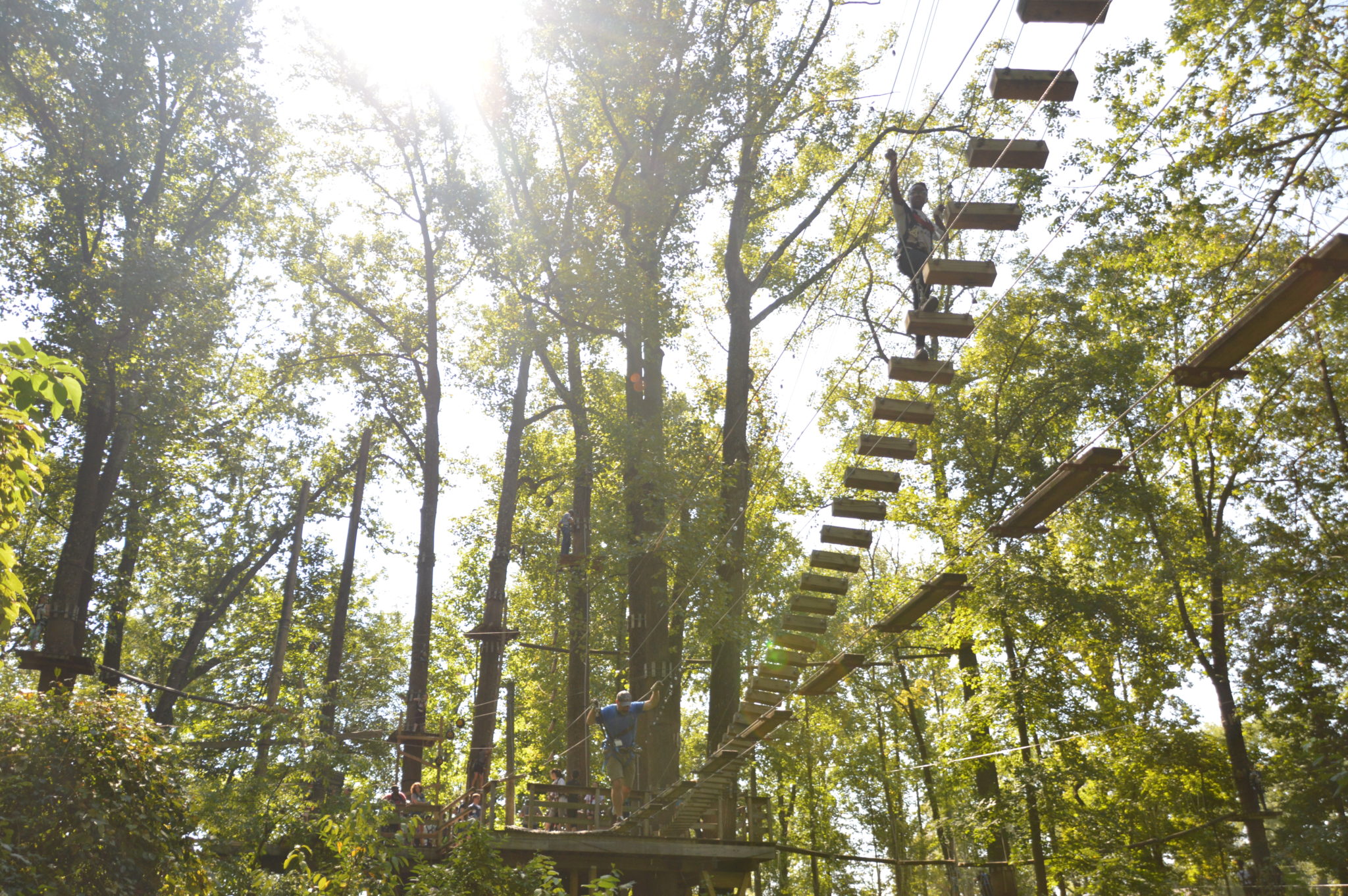 Special Events The Adventure Park at Sandy Spring Friends School