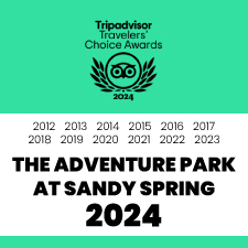 Trip Advisor Award 2012-2024