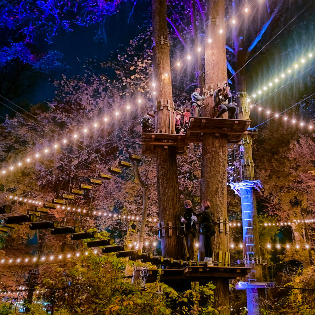 Lit up forest nighttime climbing and ziplining