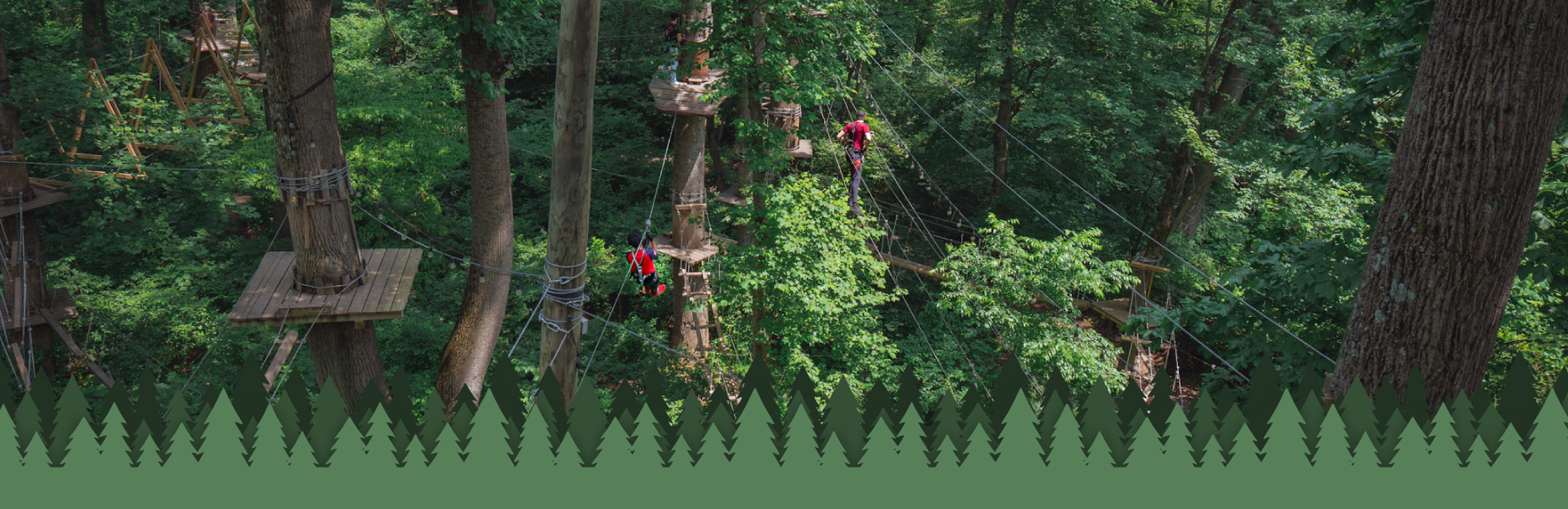 Climbing and ziplining in the forest