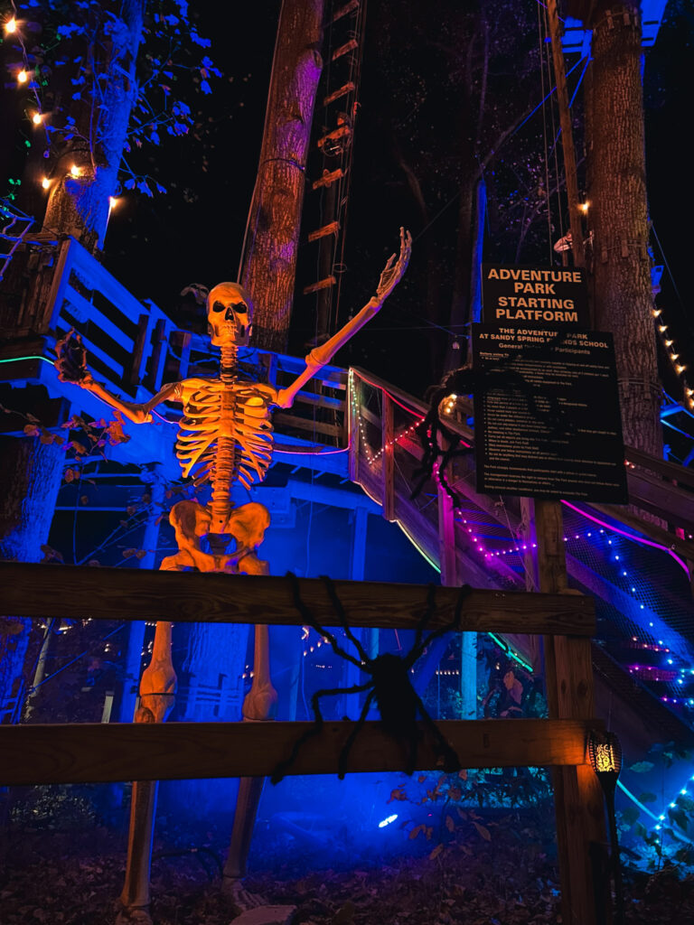 Skeleton