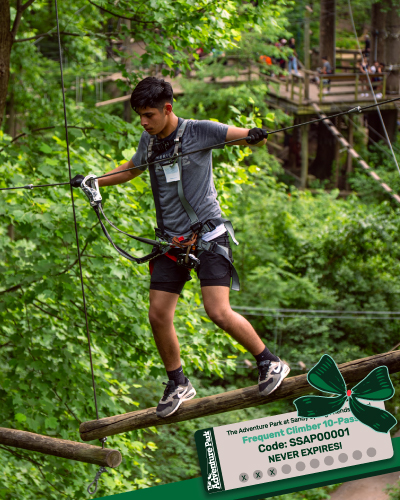 Holiday gift - 10-Pass