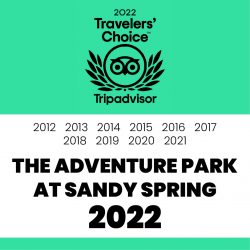 trip-advisor-travelers-choice-2012-2022